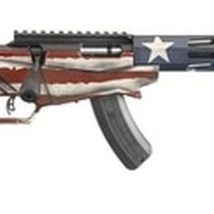 Ruger Precision, 22 LR, 18" Threaded Barrel, 15rd, American Flag