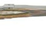 Ruger Predator 223, SS, Laminated Stock, 22"