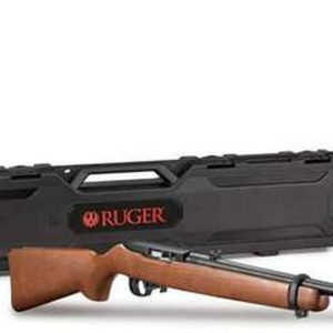 Ruger 10/22 Carbine, .22 LR, Spinner Target and Hard Case