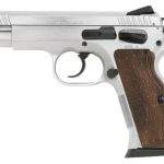 Witness Elite Stock Competition Grade 45 ACP 4.5" Barrel Hard Chrome Finish Cone Lock 10rd