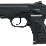 EAA Witness P Compact SA/DA 10mm 3.55" Barrel, Poly Grip/Frame Black, 12 rd