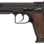 EAA WITNESS STOCK 3 10MM 14RD MAG