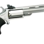 North American Arms Mini-Master 22lr 4 Fs
