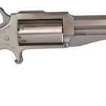 North American Arms NAA The Earl 1860 Conversion 22LR/.22 Mag 3" Stainless Steel Heavy Octagon Barrel Bead Front Sight 5 Rounds