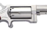 NAA Sidewinder 22 Magnum Single 22 WMR, 2.5" 5