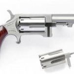 NAA Sindwinder Conversion Single Action 22 Win Mag & 22LR 2.5" Barrel SS Finish, 5rd