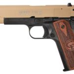 Chiappa Standard 191122LR 5 Inch Barrel Tan Slide With Black Frame 10 Round