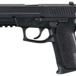 Sig Sauer, SP2022, Semi-automatic, DA/SA, Compact, 9mm, 3.9" Barrel, Polymer Frame, Black Color, Right Hand, Decocker, Siglite Night Sights, 15Rd, 2 Magazines