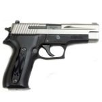 Sig P226 Tribal 9mm, Two Tone, SigLite,, rd, 15 rd