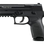 Sig P250 22LR 3.9In Nitron Black DAO Adjustable Sights Modular Polymer Grip (2) 10Rd Poly MAG