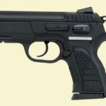 EAA Witness 40SW Polymer Frame, Compact Size, 12 Rd Mags
