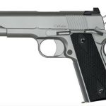 Dan Wesson V-BOB 9mm, 4.25" Barrel, Stainless Steel,, rd, 9 rd