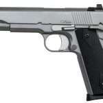 Dan Wesson Valor 9mm, 5", SS Finish,, rd, 8 rd