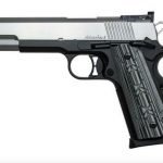 Dan Wesson Silverback 9mm, 5" Barrel, Black/Stainless Steel, Night Sights,, rd, 10 rd