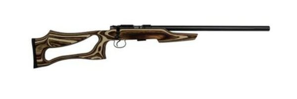 CZ 455 Var Evo 17hmr Coyote Lam
