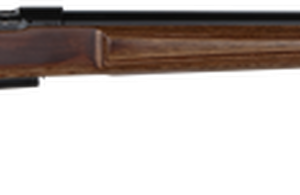 CZ 457 AT-One Varmint, .17 HMR, 24" Barrel, 5rd, Boyd Adjustable Stock
