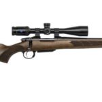 CZ 557 Sporter Short Action .243 Win, 4rd, Walnut Stock
