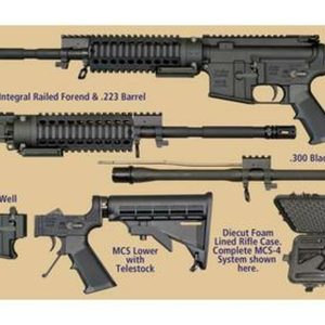 WIndham AR-15 MULTI- CALIBER Kit 5.56 & 300 Blackout 16" Barrel, 30 rd Mag With Case