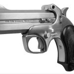 Bond Arms Texas Defender 45LC, 3" Barrel