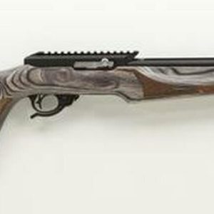 Tactical Solutions X-Ring 22LR, Vantage Stock, Fluted Barrel, 10/22 Mags, Matte Black