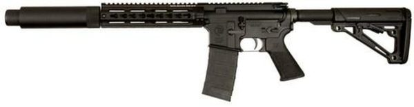 Tactical Solutions TSAR-300 Complete 300 AAC Blackout/