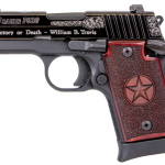 Sig P938 Texas Engraved Silver 9mm 3"Barrel, Black, Silver Engraving Slide, Stainless, Redwood Grip, 6rd-7rd Mags