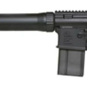 Armalite AR- 308, Black