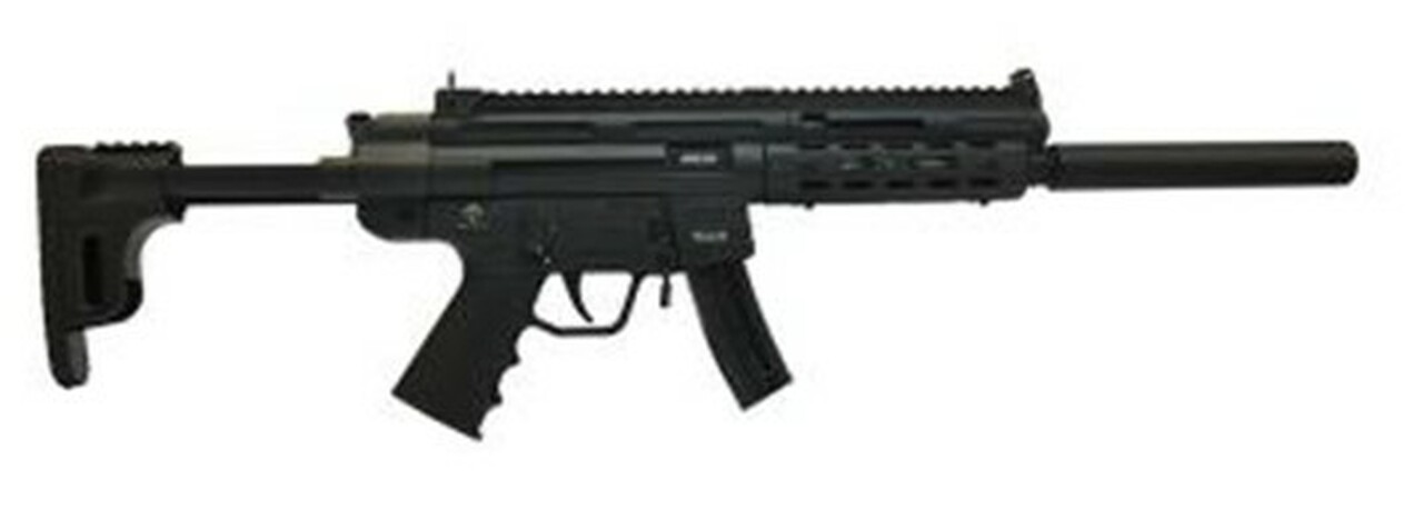 GSG GSG-16 .22 LR, 16.25" Barrel, Black Collapsible Stock, 10rd