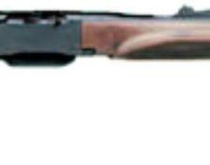Remington 750 WOODMASTER 270