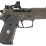 Sig P229 Legion SAO RXP 9mm, 3.9" Barrel, ROMEO1, X-Ray 3, Legion Gray, 15rd