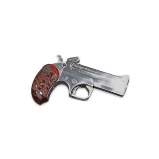 Bond Arms PT2A Stainless .357 .38 4.25 Inch 2Rnd