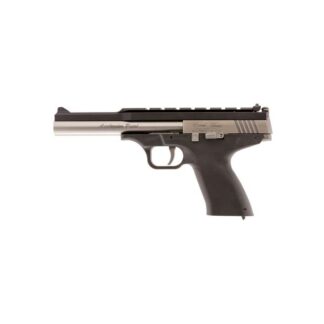 Excel Arms MP-22 Stainless Steel Slide Polymer Frame Black Semi Auto Pistol .22 WMR 6.5 Inch Barrel 9 Rounds Adjustable Sights