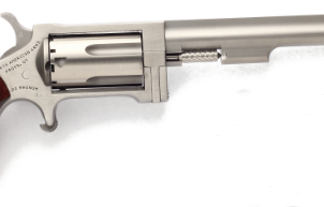 North American Arms Sidewinder Stainless Steel .22WMR 4-inch 5 Rds
