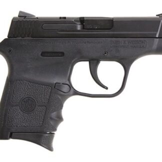 Smith and Wesson M&P Bodyguard .380 ACP 2.75-inch 6Rd No Laser