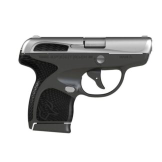 Taurus Spectrum Stainless .380 ACP 2.8-inch 7Rds Black Slide & Frame Accents
