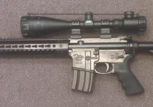 ARMSLIST - For Sale: Alexander Arms Beowulf .50 cal