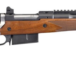 Ruger Gunsite Scout Rifle in 450 Bushmaster, 'Michigan's Hunting Rifle'